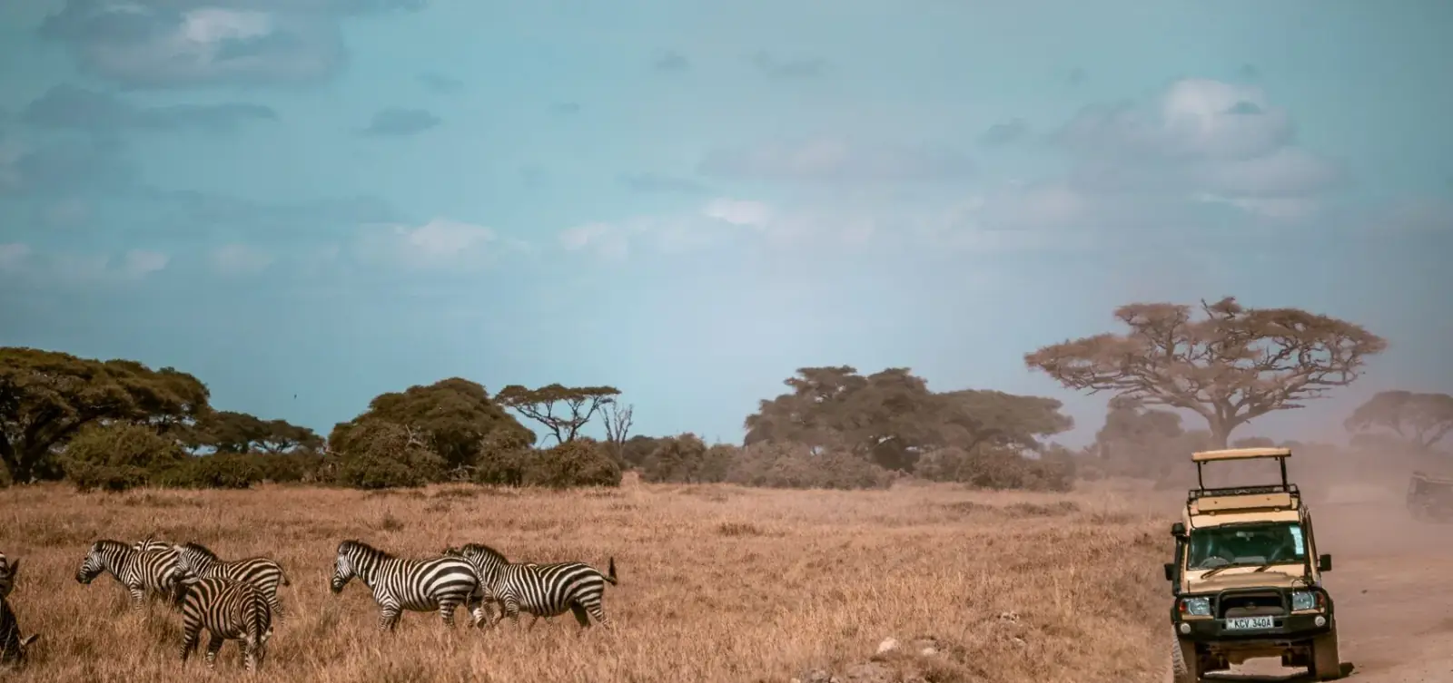 Kenya Safari 